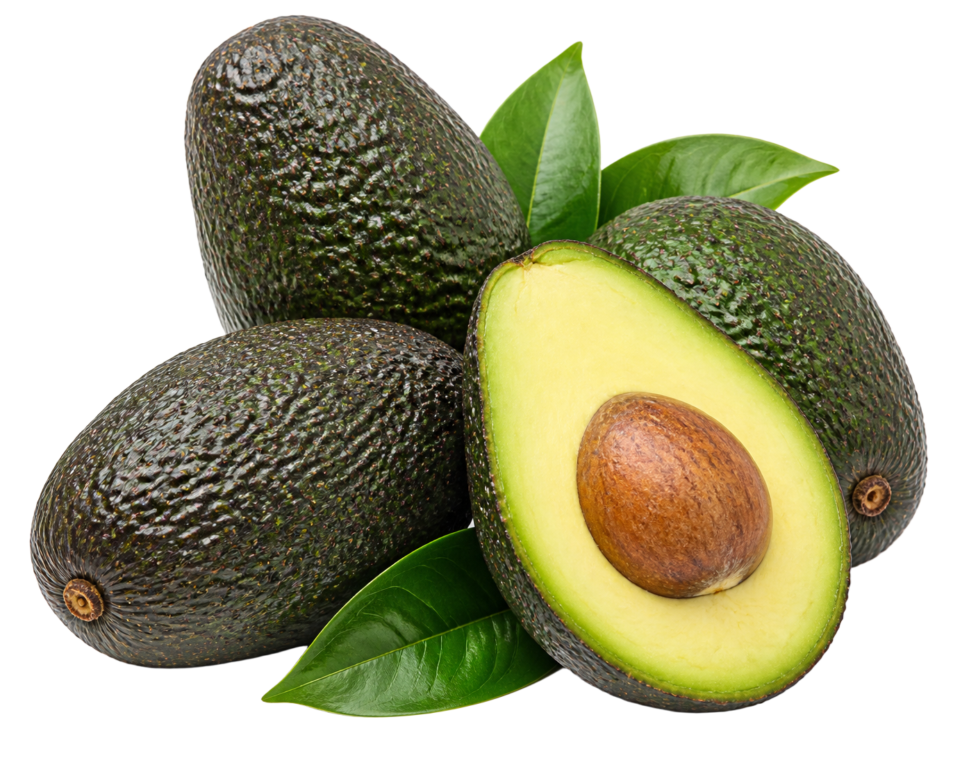 Fresh Hass avocados, one halved to show the pit